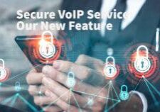 secure voip service with tls encryption