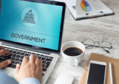 best government phone providers